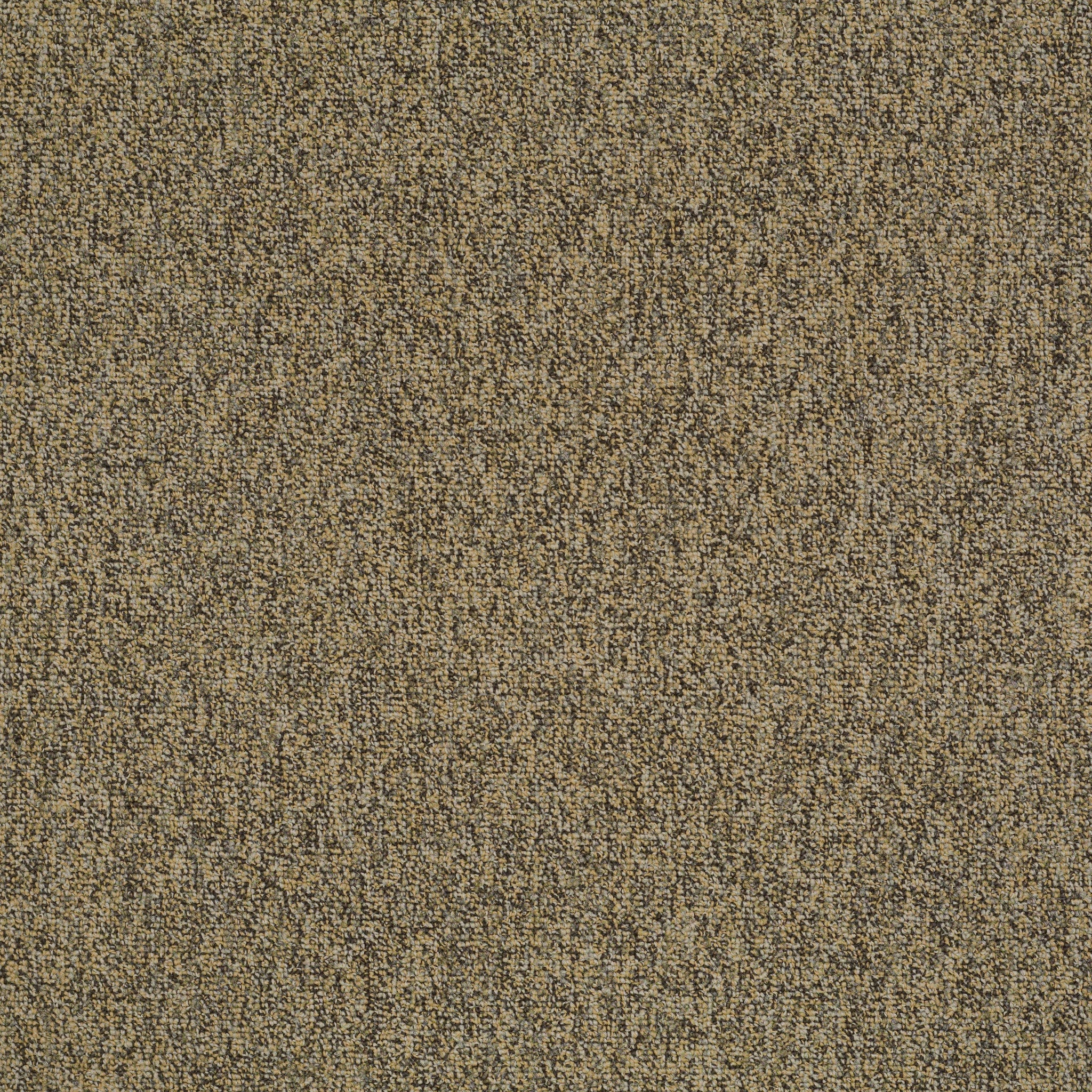 Philadelphia Commercial Multiplicity 24X24 54594-00200 Abundance 24" x 24" Carpet Tile