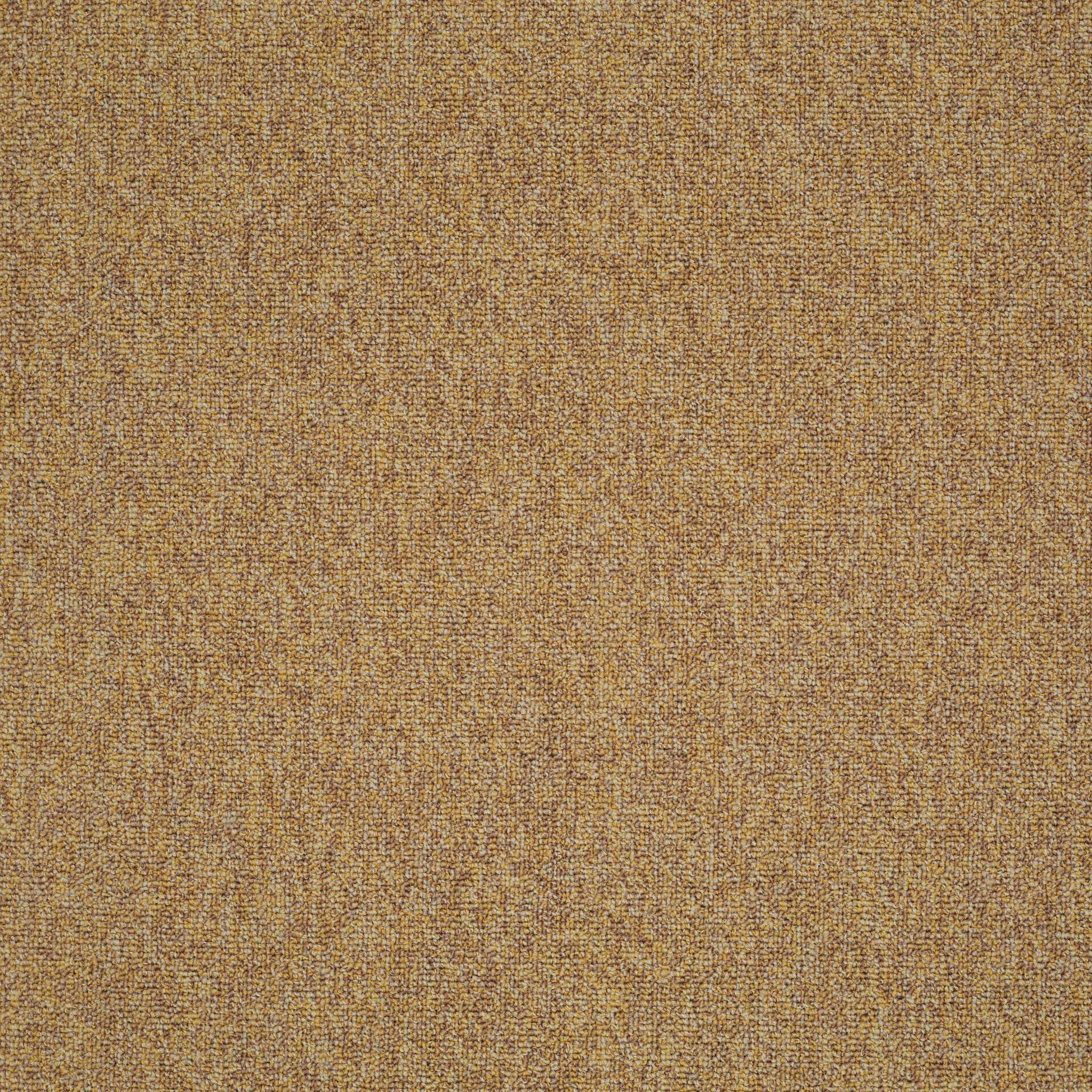 Philadelphia Commercial Multiplicity 24X24 54594-00210 Expansive 24" x 24" Carpet Tile