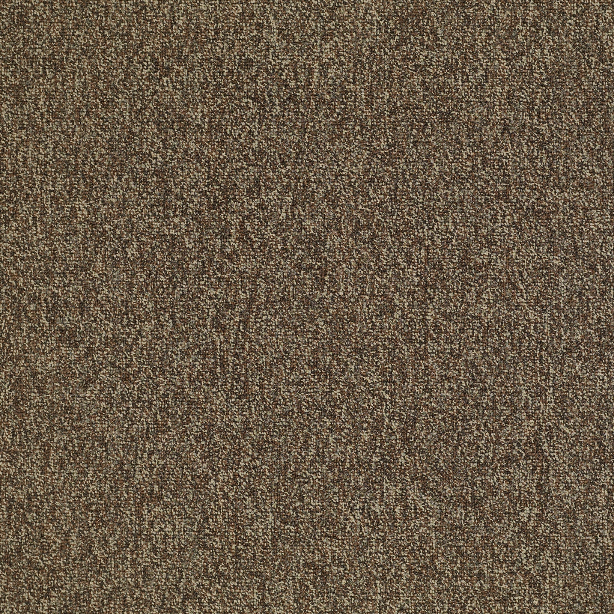 Philadelphia Commercial Multiplicity 24X24 54594-00705 Exuberance 24" x 24" Carpet Tile