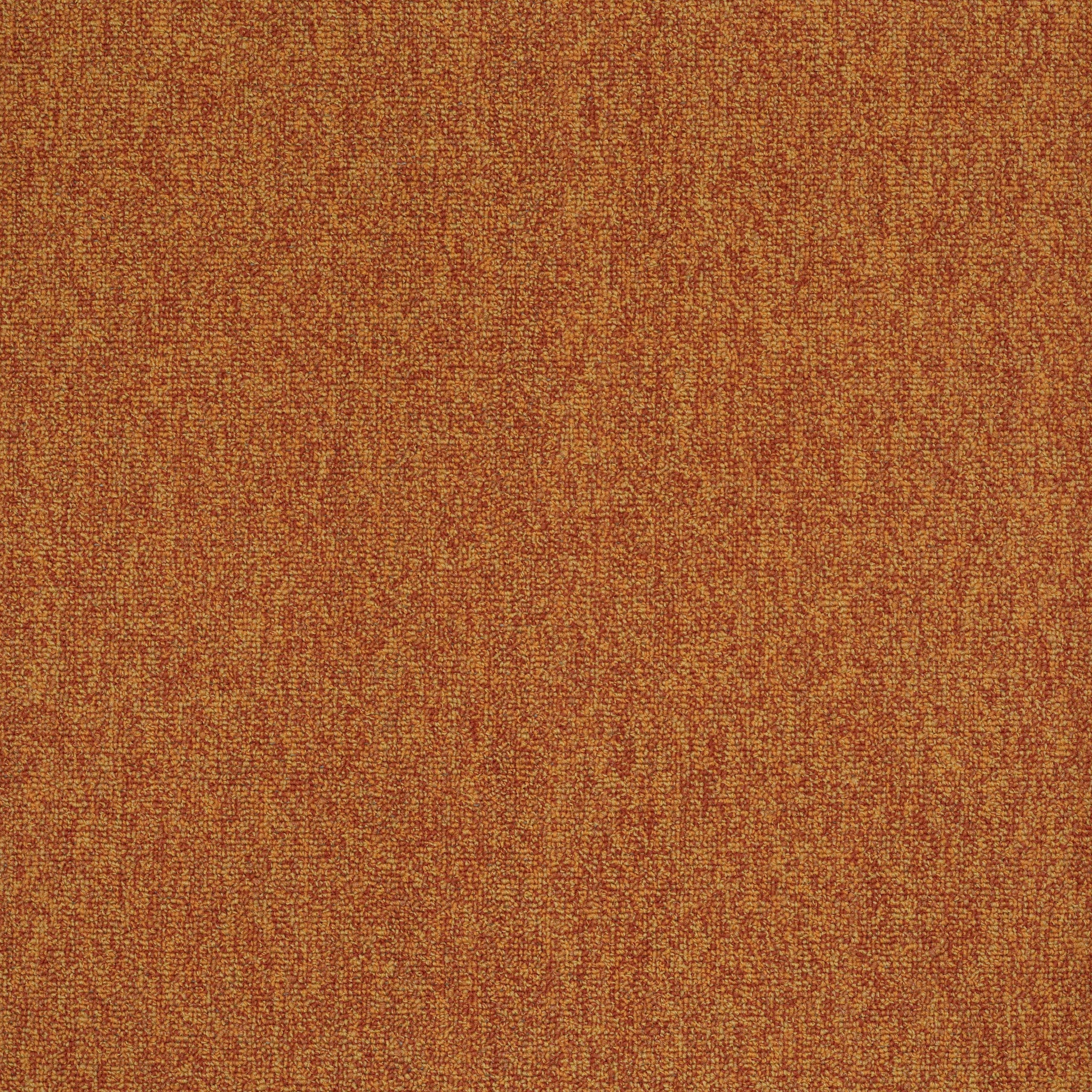 Philadelphia Commercial Multiplicity 24X24 54594-00610 Mass 24" x 24" Carpet Tile