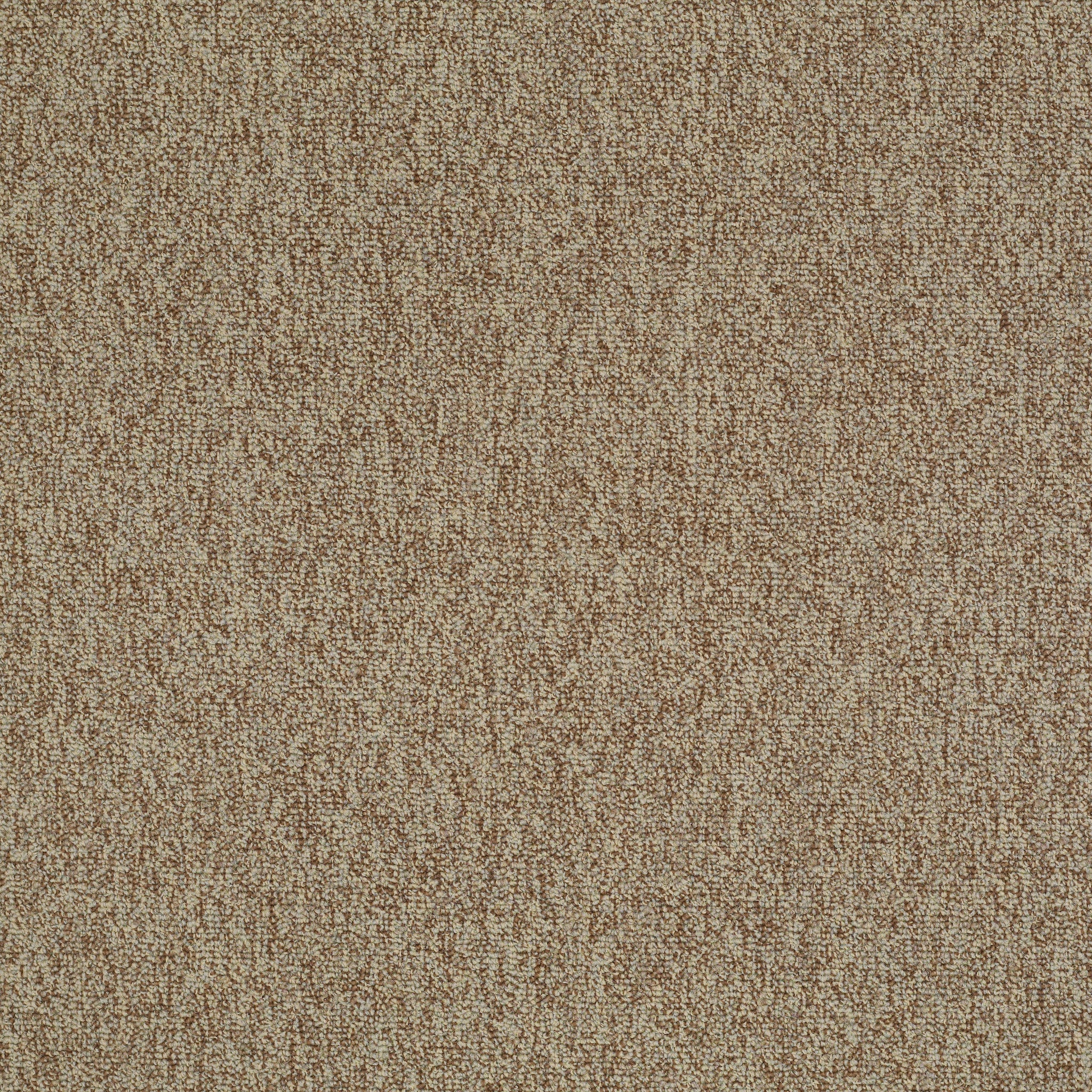 Philadelphia Commercial Multiplicity 24X24 54594-00105 Plethora 24" x 24" Carpet Tile