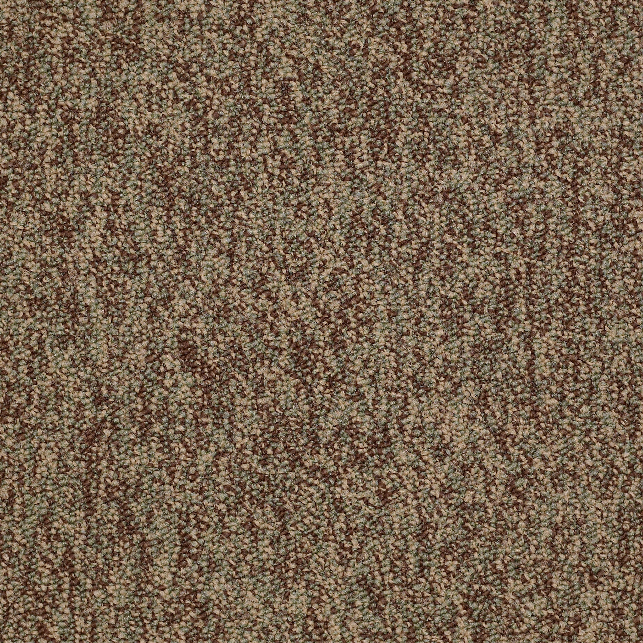 Philadelphia Commercial No Limits Tile J0108-69302 Achievement 24" x 24" Carpet Tile