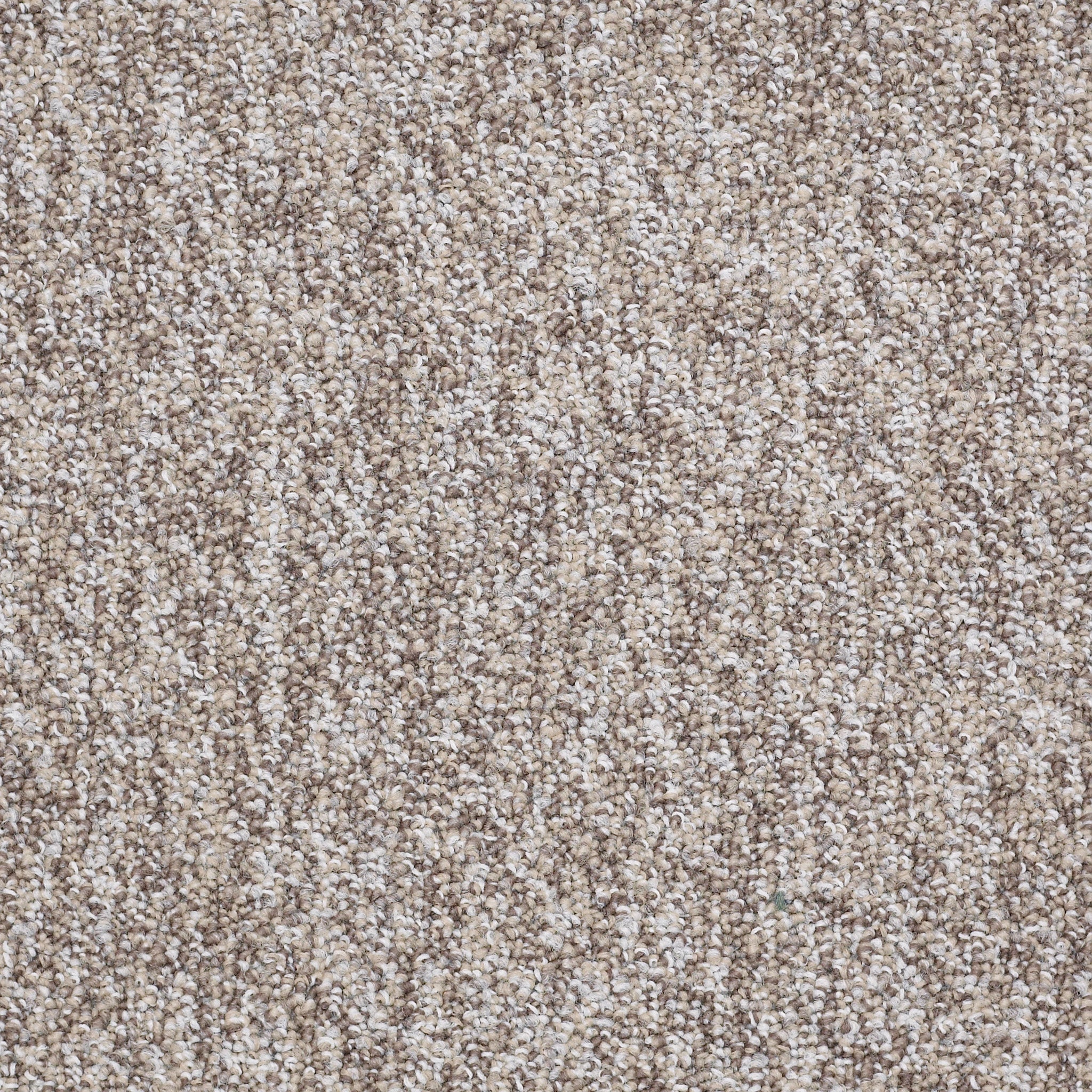 Philadelphia Commercial No Limits Tile J0108-69101 Control 24" x 24" Carpet Tile