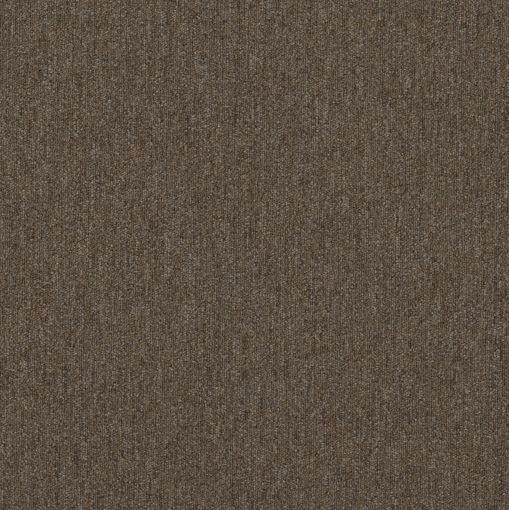 Philadelphia Commercial Profusion Tile 54931-00700 Heaps 24" x 24" Carpet Tile