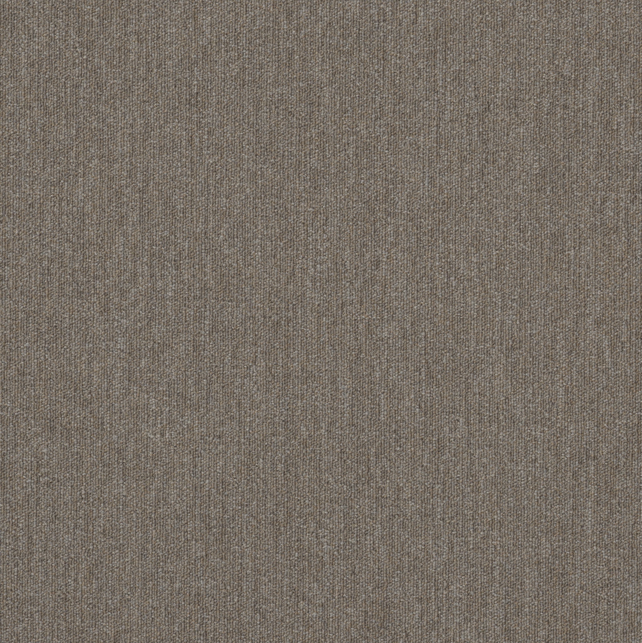 Philadelphia Commercial Profusion Tile 54931-00200 Masses 24" x 24" Carpet Tile