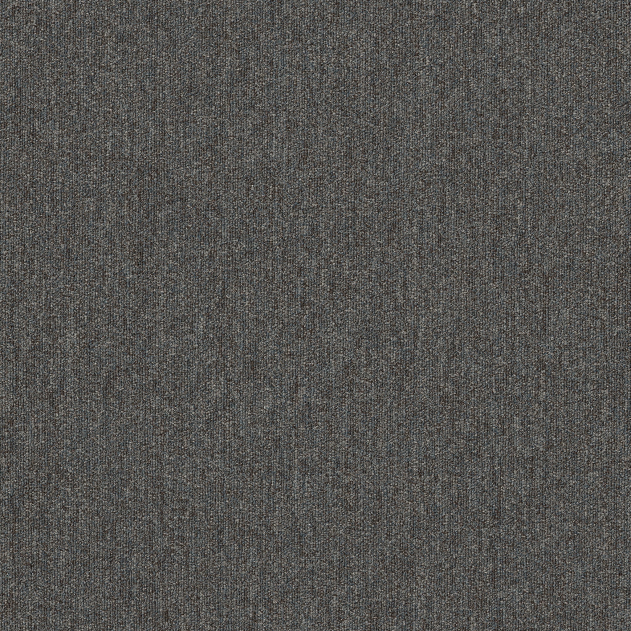 Philadelphia Commercial Profusion Tile 54931-00510 Oodles 24" x 24" Carpet Tile