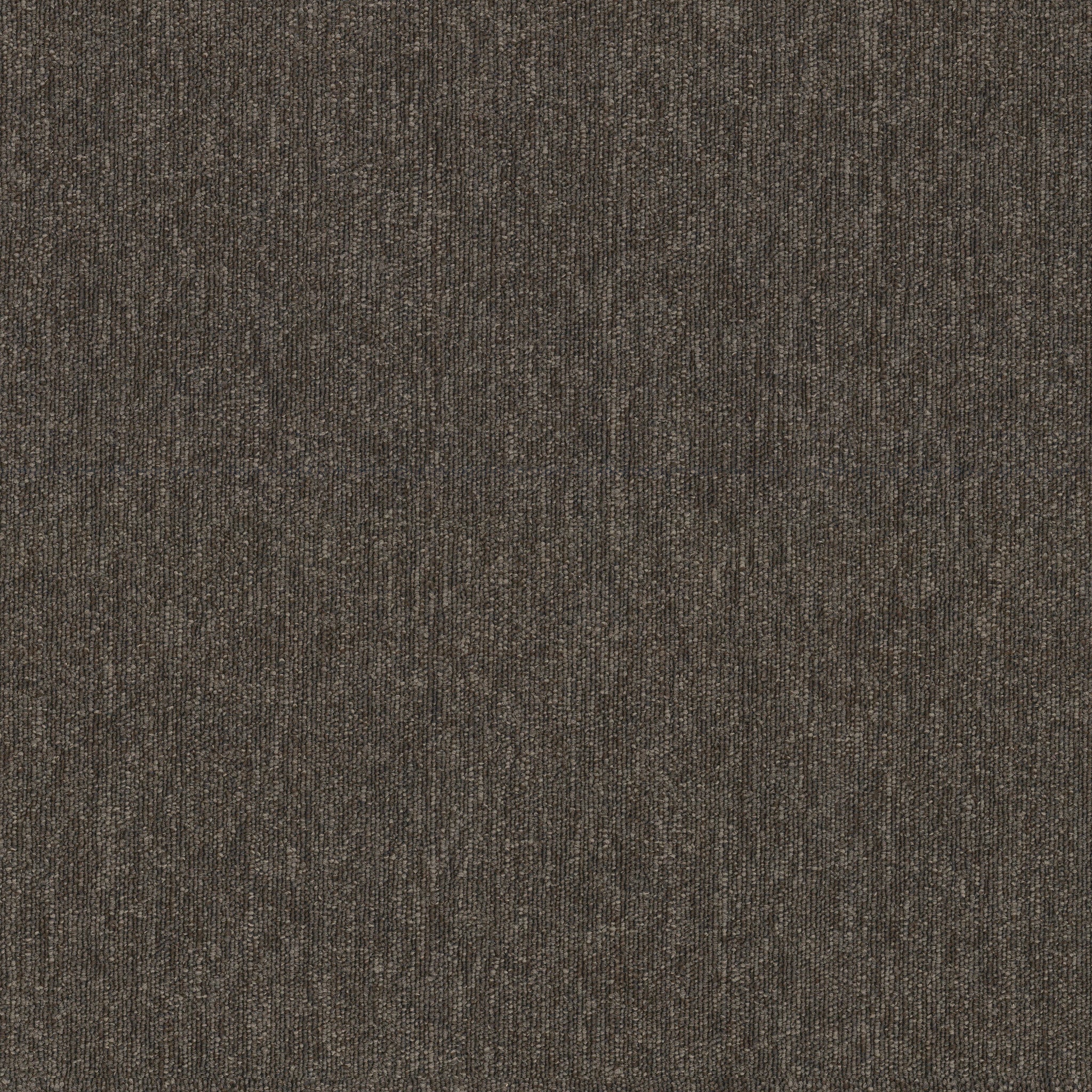 Philadelphia Commercial Profusion Tile 54931-00715 Scads 24" x 24" Carpet Tile