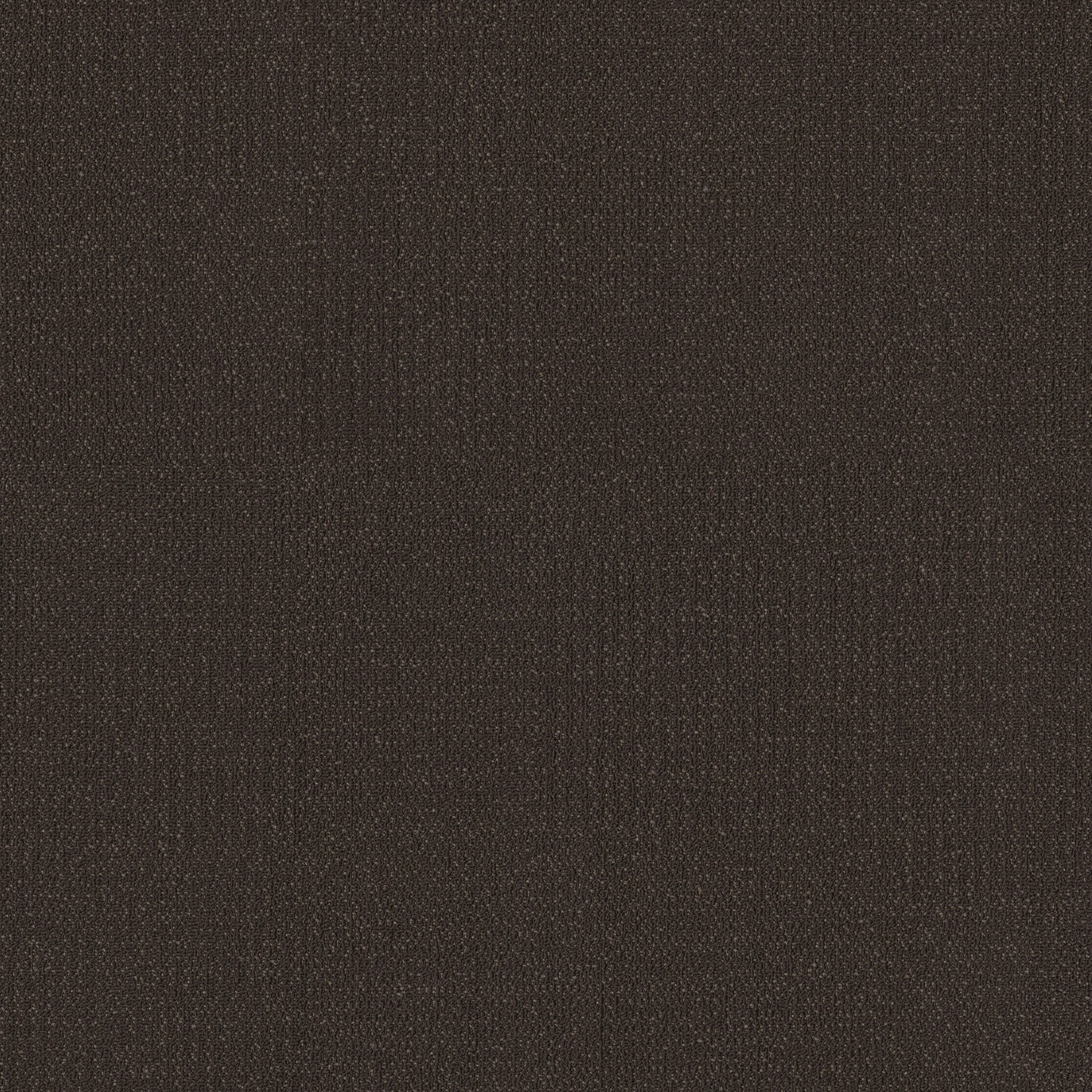 Philadelphia Commercial Readapt 54970-00705 Alter 24" x 24" Carpet Tile