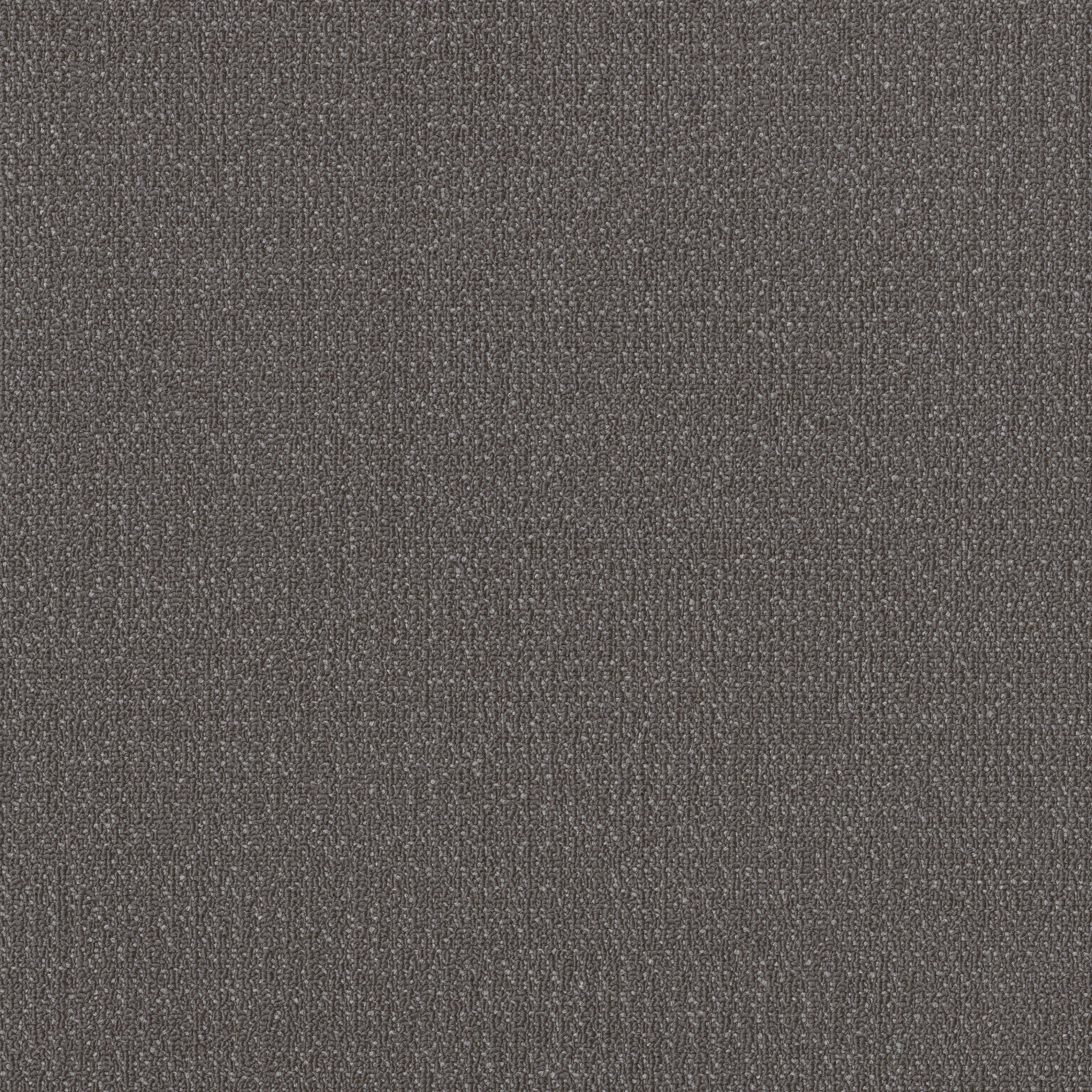 Philadelphia Commercial Readapt 54970-00500 Compose 24" x 24" Carpet Tile