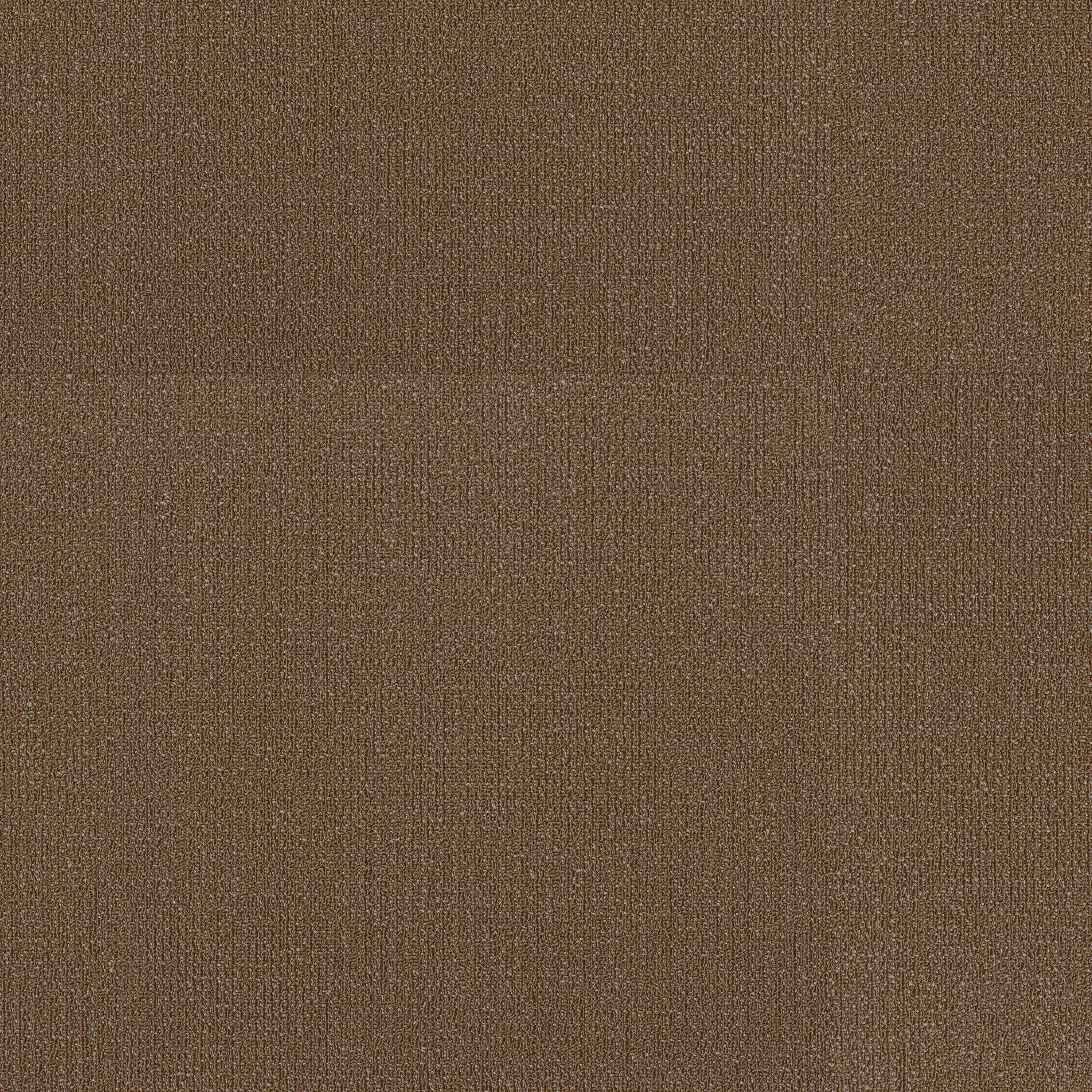 Philadelphia Commercial Readapt 54970-00200 Evolve 24" x 24" Carpet Tile