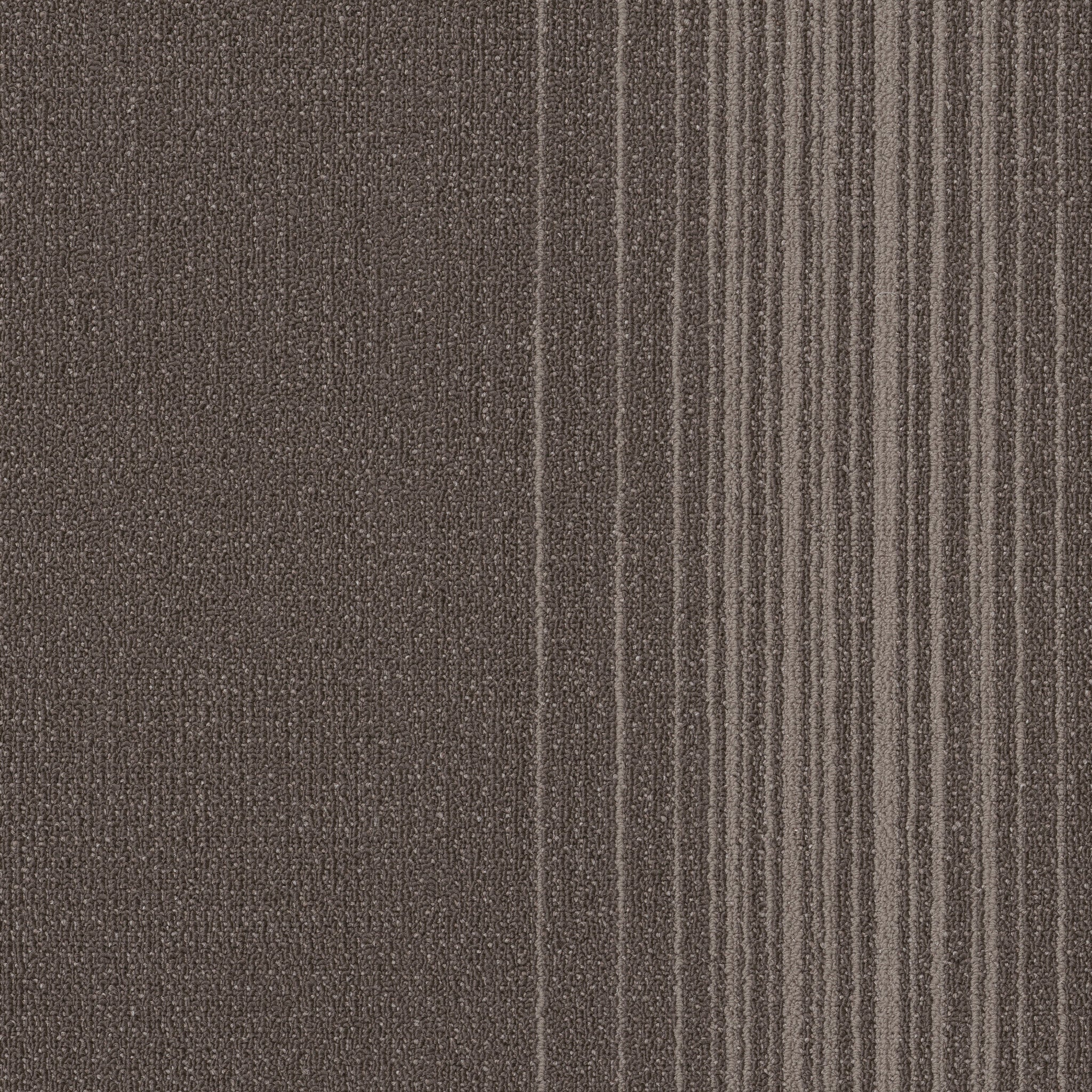 Philadelphia Commercial Realign 54971-00710 Mature 24" x 24" Carpet Tile