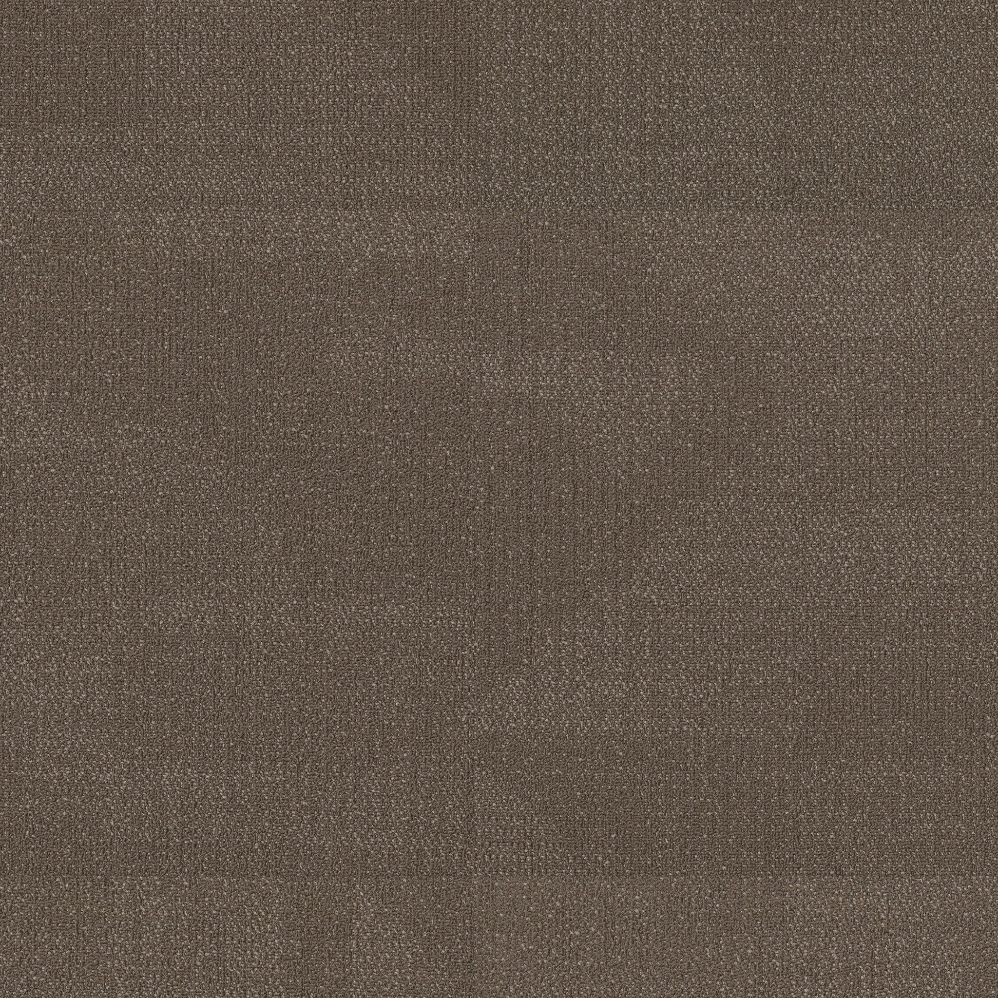 Philadelphia Commercial Reemerge 54972-00700 Shift 24" x 24" Carpet Tile