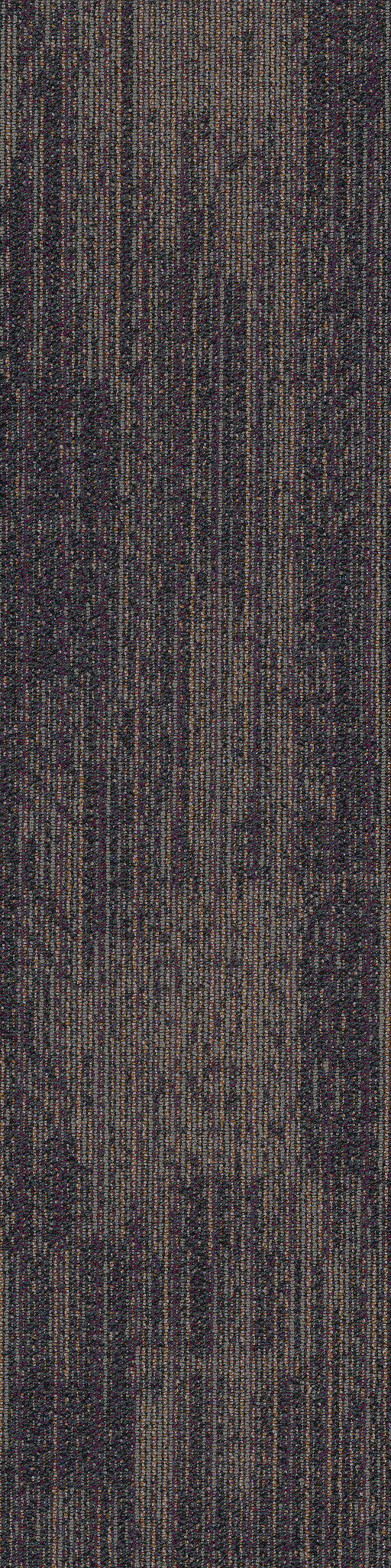 Philadelphia Commercial Rhythm 54876-00900 Intonation 12" x 48" Carpet Tile