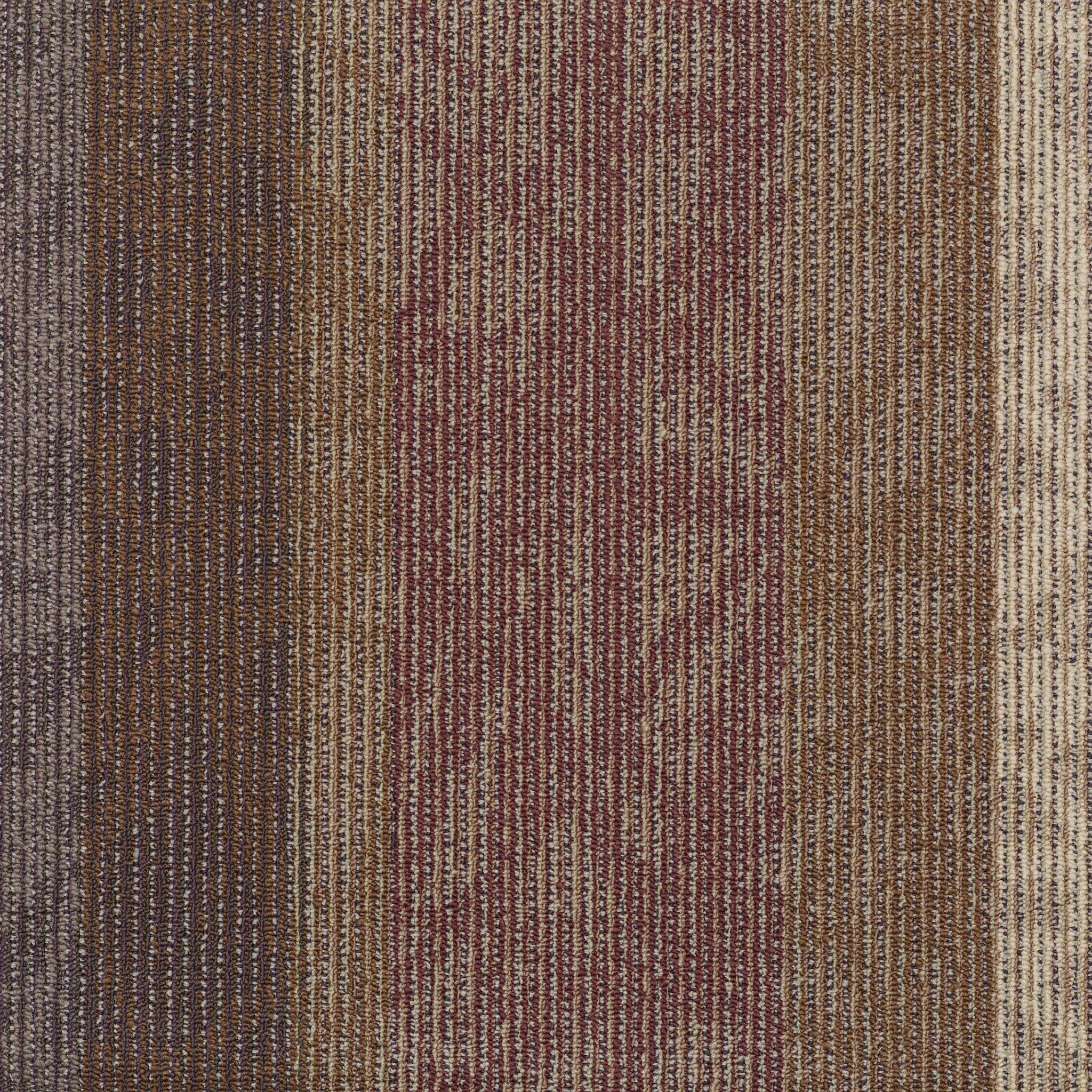 Philadelphia Commercial Static 54564-00902 Echo 24" x 24" Carpet Tile