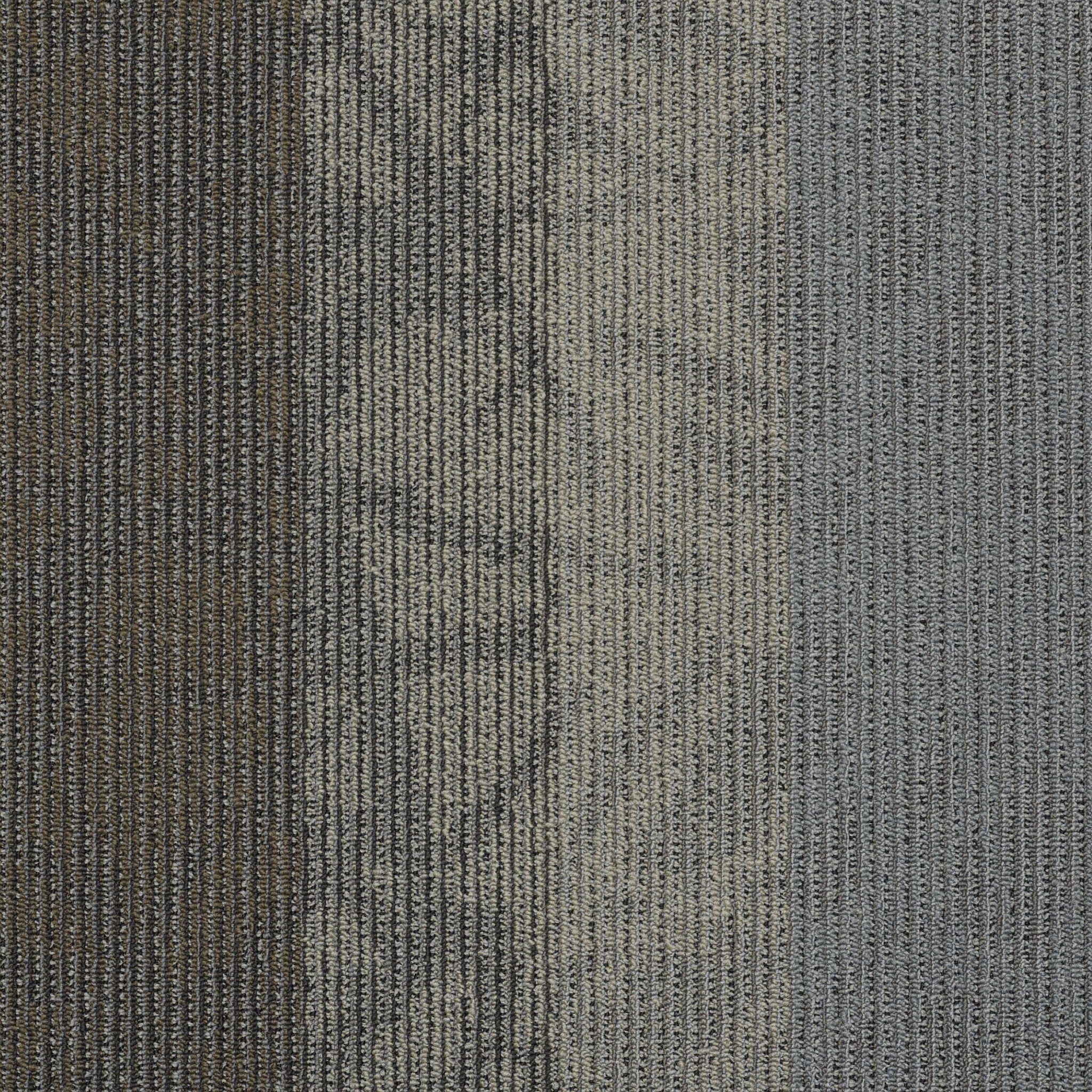 Philadelphia Commercial Static 54564-00501 Velocity 24" x 24" Carpet Tile