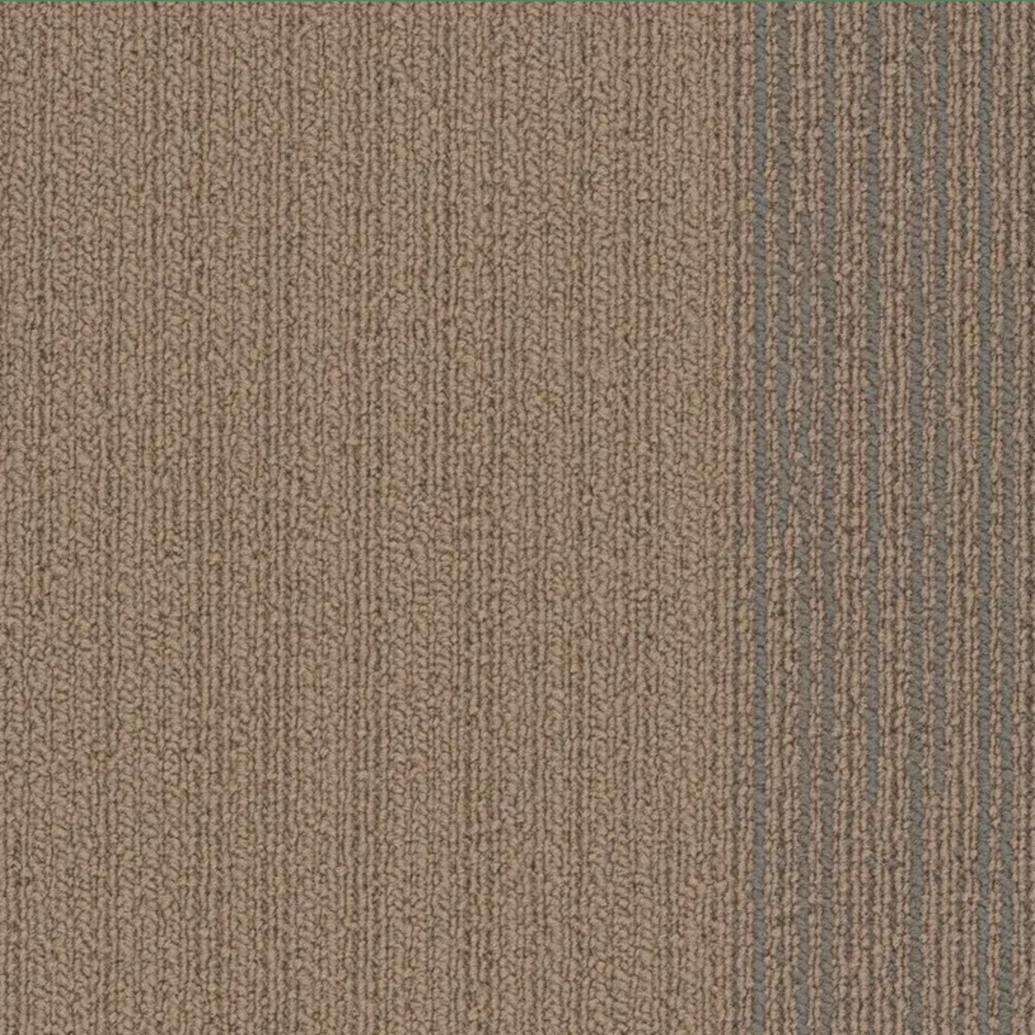 Pentz Carpet Cliffhanger 7090T-2792 Trigo 12" X 48" (55.98 SF/Box)