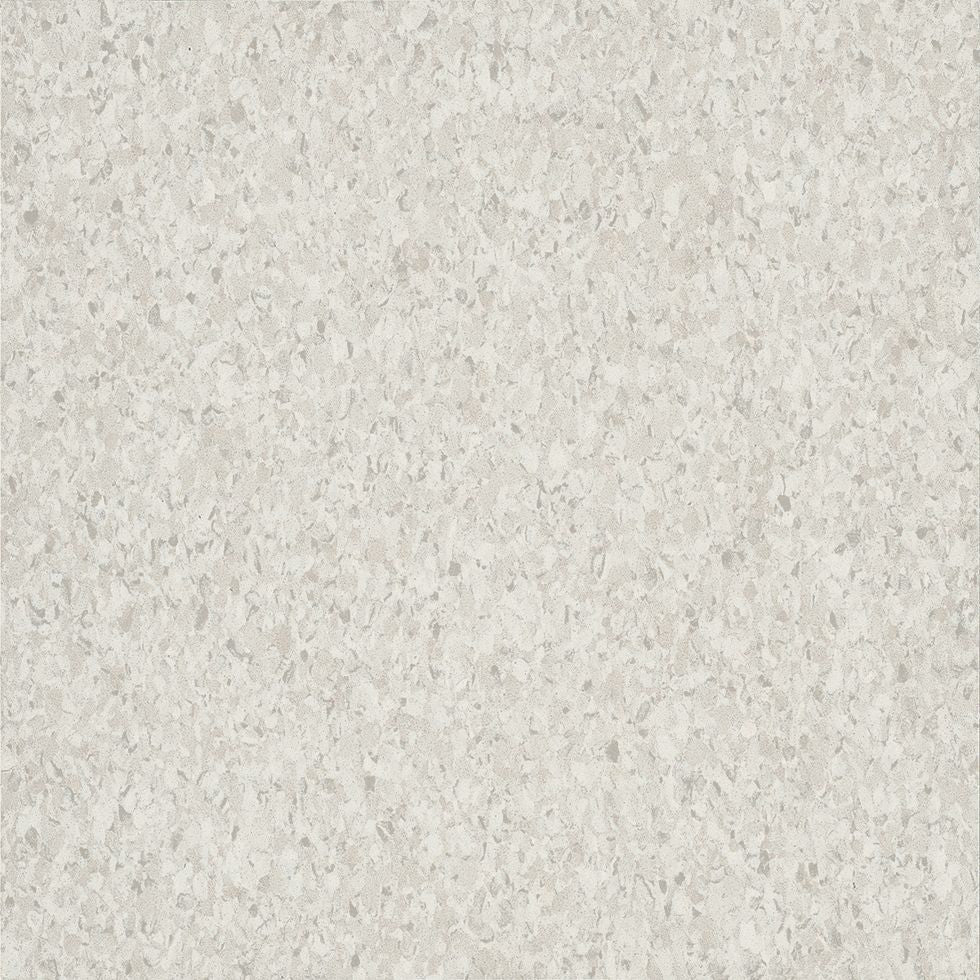 Armstrong Premium Excelon Crown Texture 5C234 Silk 12" x 12" VCT Tile (Sample)