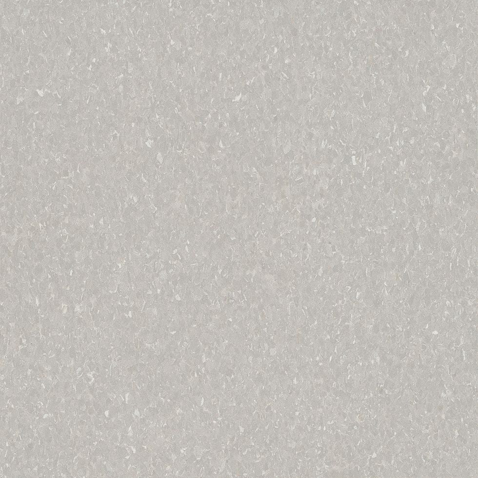 Armstrong Premium Excelon Crown Texture 5C861 Soft Warm Gray 12" x 12" VCT Tile (Sample)