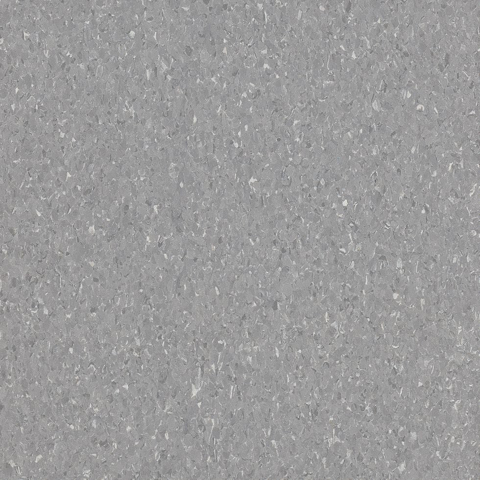 Armstrong Premium Excelon Crown Texture 5C904 Sterling 12" x 12" VCT Tile (Sample)