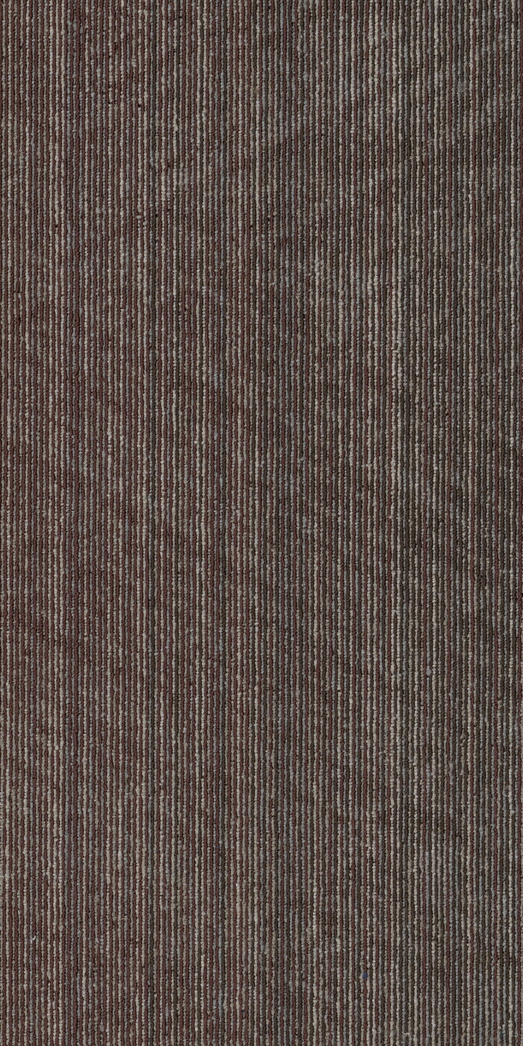 Philadelphia Commercial Vantage 54952-00706 Evolve 18" x 36" Carpet Tile