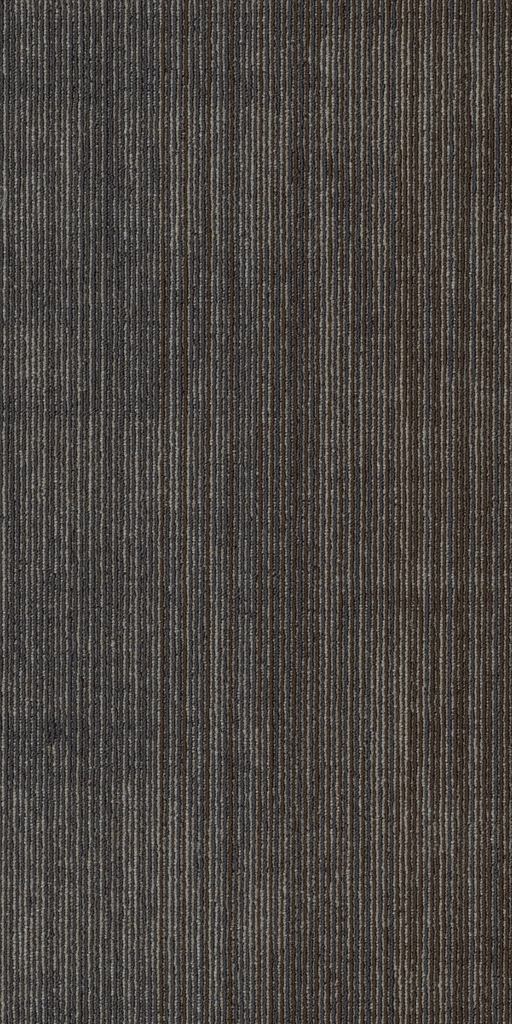 Philadelphia Commercial Visibility 54953-00508 Emerge 18" x 36" Carpet Tile