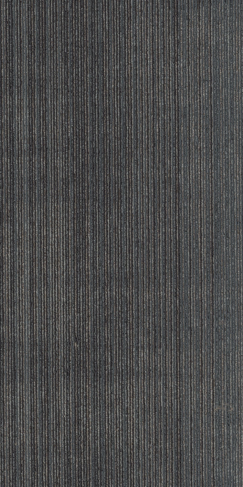 Philadelphia Commercial Visibility 54953-00502 Focus 18" x 36" Carpet Tile