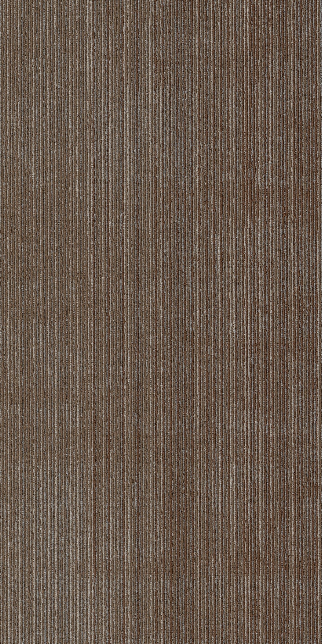 Philadelphia Commercial Visibility 54953-00700 Surface 18" x 36" Carpet Tile