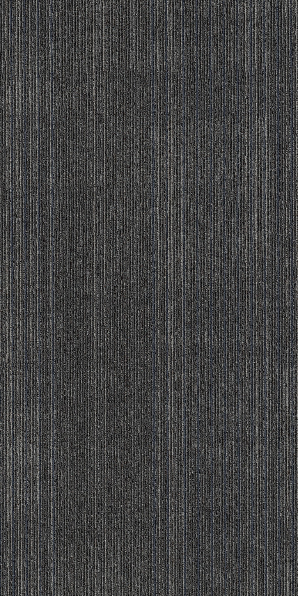 Philadelphia Commercial Visibility 54953-00410 Viewpoint 18" x 36" Carpet Tile