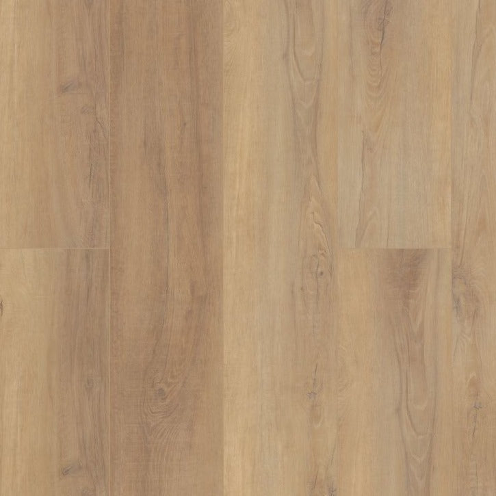 COREtec Pro Enhanced VV488-02093 Canterbury Elm Vinyl Plank (Partial Piece - Sample)