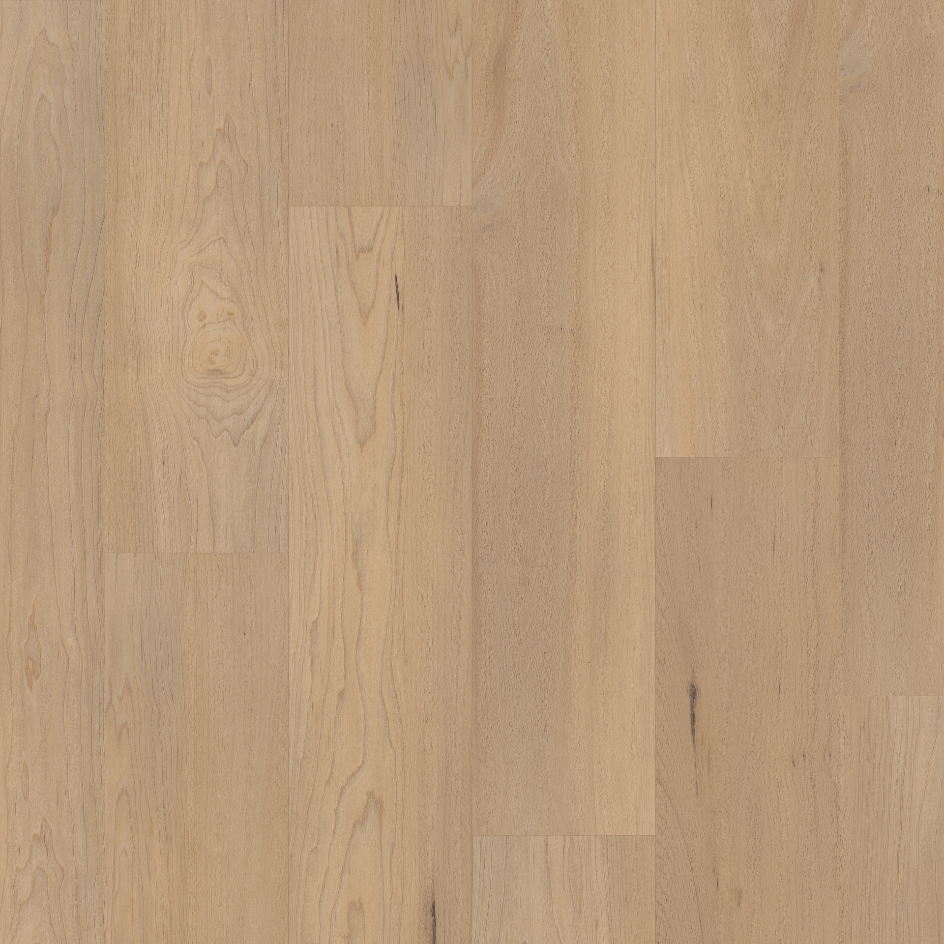 COREtec Pro Premium VV800-05035 Douglas Maple Vinyl Plank (Partial Piece - Sample)