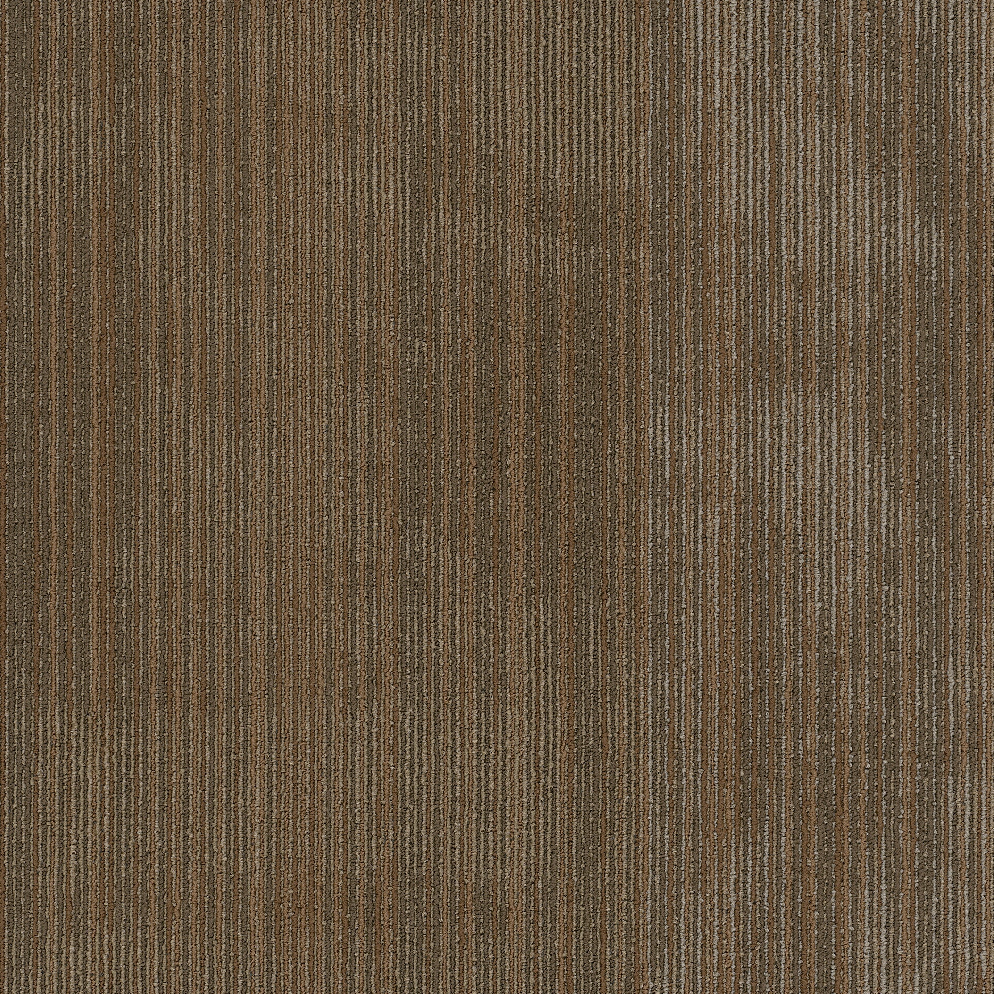 Philadelphia Commercial Wildstyle 54897-00700 Raw 24" x 24" Carpet Tile