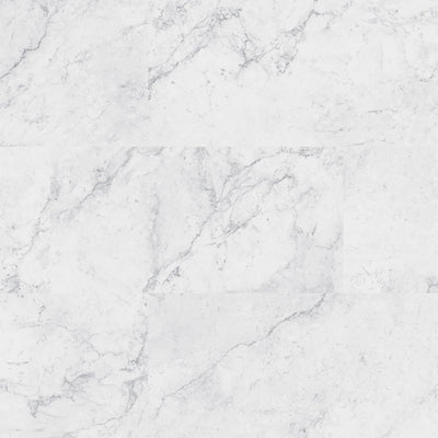 MSI Everlife Trecento Carrara Avell 12" x 24" Vinyl Tile (19.37 SF/Box)