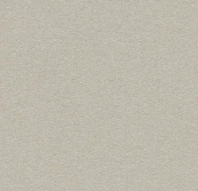 Forbo Bulletin Board Linoleum 2206 Oyster Shell Linoleum Sheet (48" Width)