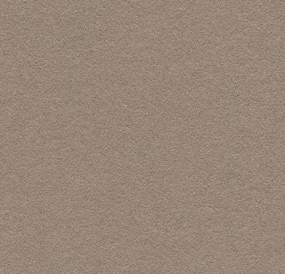 Forbo Bulletin Board Linoleum 2208 Mushroom Medley Linoleum Sheet (48" Width)