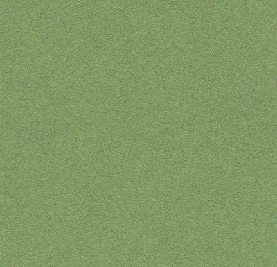 Forbo Bulletin Board Linoleum 2213 Baby Lettuce Linoleum Sheet (48" Width)