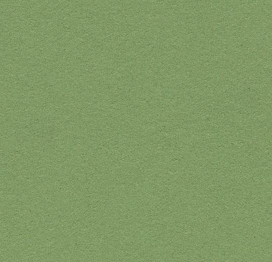 Forbo Bulletin Board Linoleum 2213 Baby Lettuce Linoleum Sheet (48" Width)