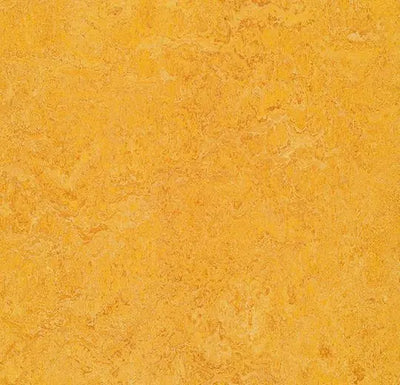 Forbo Marmoleum Decibel Acoustic Linoleum 322535 3.5 mm Dandelion Sheet (79" Width)