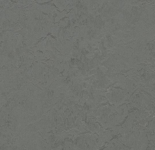 Forbo Marmoleum Modular Tile T3745 Cornish Grey 19.69" x 19.69" Linoleum Tile Flooring