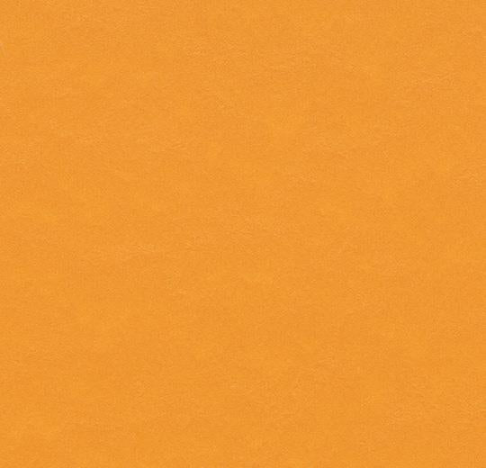 Forbo Marmoleum Modular Tile T3354 Pumpkin Yellow 19.69" x 19.69" Linoleum Tile Flooring