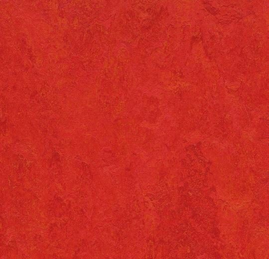 Forbo Marmoleum Modular Tile T3131 Scarlet 9.8" x 9.8" Linoleum Tile Flooring