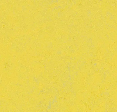 Forbo Marmoleum Decibel Acoustic Linoleum 374135 3.5 mm Yellow Glow Sheet (79" Width)