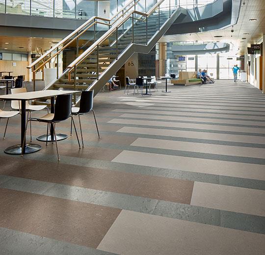 Forbo Marmoleum Modular Tile TE3745-195625 Cornish Grey 19.69" x 19.69" Linoleum Tile Flooring (53.82 SF/Box)