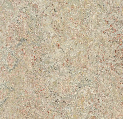 Forbo Marmoleum Marbled Vivace 3427-195658 Agate Linoleum Sheet Flooring (79" Width)