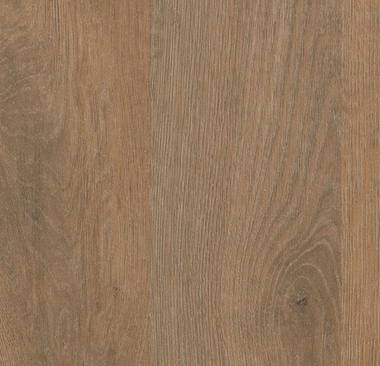 Forbo Eternal Step Wood 18972 Rustic Oak Sheet Vinyl (79" Width)