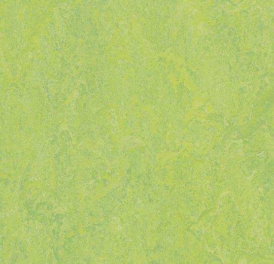 Forbo Marmoleum Modular Tile T3258 Refreshing Green 9.8" x 19.69" Linoleum Tile Flooring