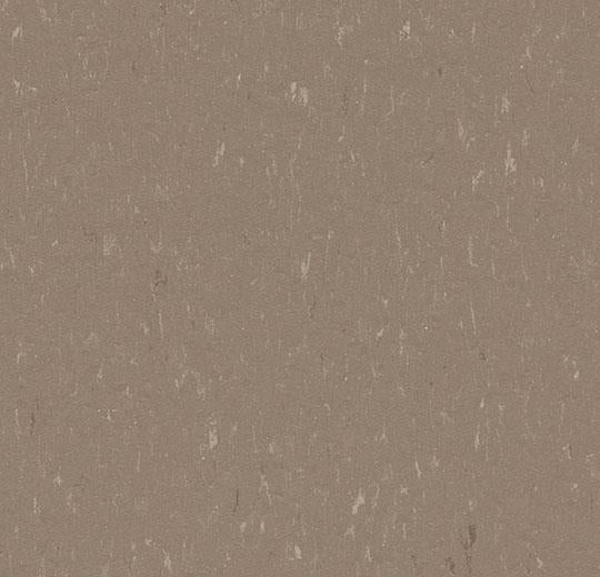 Forbo MCT Elementals MCT-3631 Otter 13.11" x 13.11" Eco-Friendly Linoleum Floor Tile