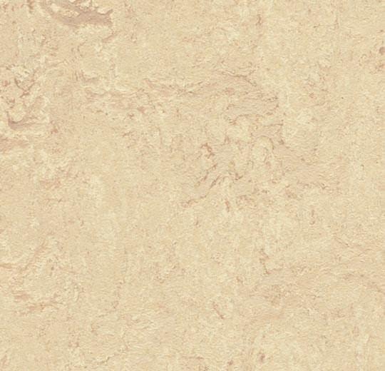 Sample of Forbo 2713 Calico