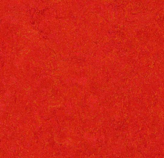 Forbo Marmoleum Real 3131 Scarlet Linoleum Sheet Flooring 