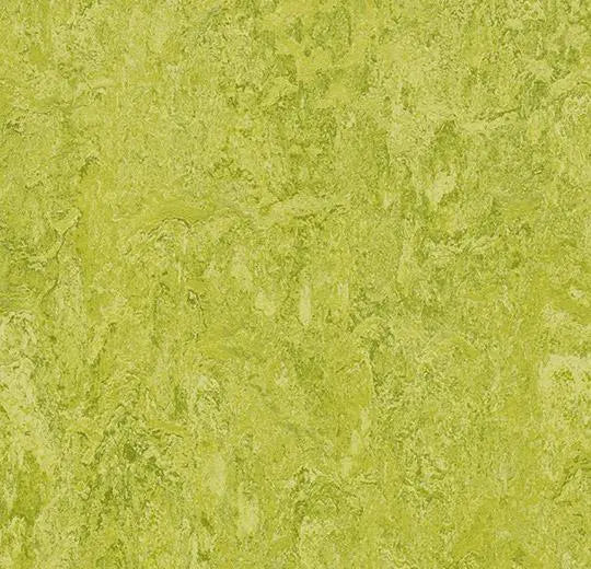 Forbo Marmoleum Real 3224 Chartreuse Linoleum Sheet Flooring 