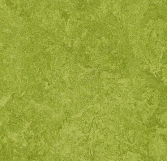 Forbo Marmoleum Real 3247 Green Linoleum Sheet Flooring 